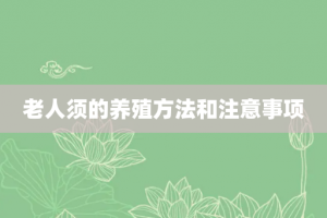 老人须的养殖方法和注意事项