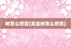 树怎么修剪(龙血树怎么修剪)