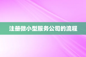 注册微小型服务公司的流程