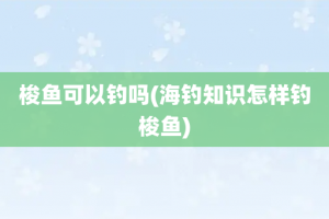 梭鱼可以钓吗(海钓知识怎样钓梭鱼)