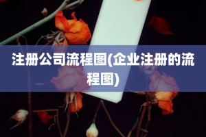 注册公司流程图(企业注册的流程图)