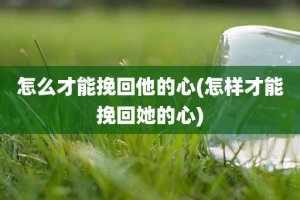 怎么才能挽回他的心(怎样才能挽回她的心)