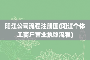 阳江公司流程注册图(阳江个体工商户营业执照流程)