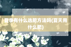 夏季有什么选肥方法吗(夏天用什么肥)