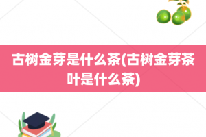 古树金芽是什么茶(古树金芽茶叶是什么茶)