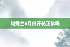 蝴蝶兰6月份开花正常吗
