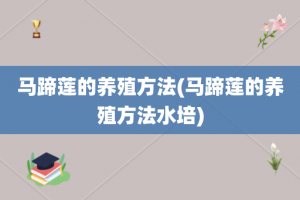 马蹄莲的养殖方法(马蹄莲的养殖方法水培)