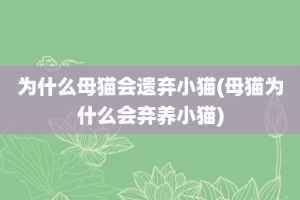 为什么母猫会遗弃小猫(母猫为什么会弃养小猫)