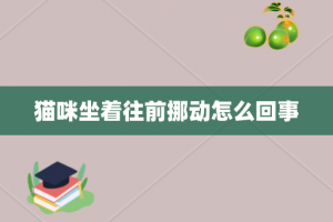 猫咪坐着往前挪动怎么回事