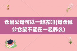 仓鼠公母可以一起养吗(母仓鼠公仓鼠不能在一起养么)