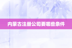 内蒙古注册公司要哪些条件