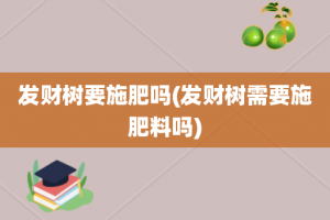 发财树要施肥吗(发财树需要施肥料吗)