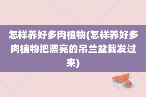 怎样养好多肉植物(怎样养好多肉植物把漂亮的吊兰盆栽发过来)