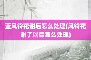 蓝风铃花谢后怎么处理(风铃花谢了以后怎么处理)