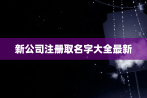 新公司注册取名字大全最新