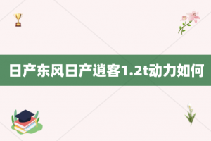 日产东风日产逍客1.2t动力如何