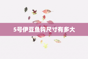 5号伊豆鱼钩尺寸有多大