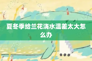 夏冬季给兰花浇水温差太大怎么办