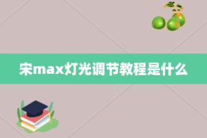 宋max灯光调节教程是什么