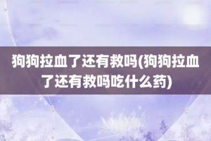 狗狗拉血了还有救吗(狗狗拉血了还有救吗吃什么药)