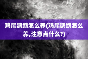 鸡尾鹦鹉怎么养(鸡尾鹦鹉怎么养,注意点什么?)