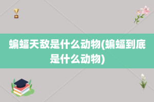 蝙蝠天敌是什么动物(蝙蝠到底是什么动物)