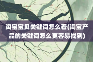 淘宝宝贝关键词怎么看(淘宝产品的关键词怎么更容易找到)