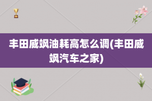 丰田威飒油耗高怎么调(丰田威飒汽车之家)
