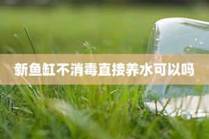新鱼缸不消毒直接养水可以吗