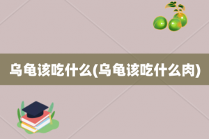 乌龟该吃什么(乌龟该吃什么肉)