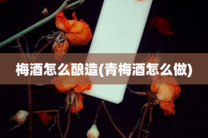 梅酒怎么酿造(青梅酒怎么做)