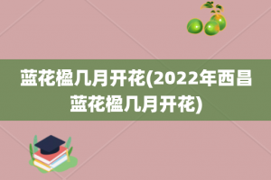蓝花楹几月开花(2022年西昌蓝花楹几月开花)