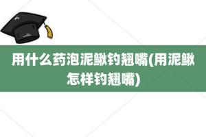 用什么药泡泥鳅钓翘嘴(用泥鳅怎样钓翘嘴)