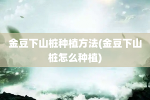 金豆下山桩种植方法(金豆下山桩怎么种植)