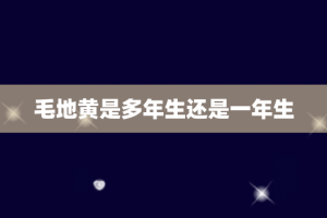 毛地黄是多年生还是一年生