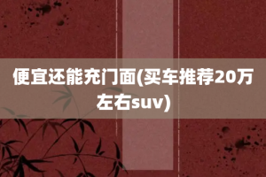 便宜还能充门面(买车推荐20万左右suv)
