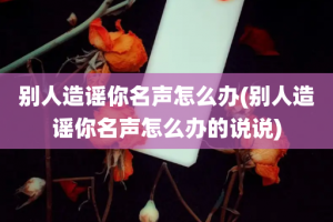 别人造谣你名声怎么办(别人造谣你名声怎么办的说说)