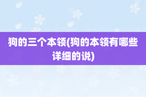 狗的三个本领(狗的本领有哪些详细的说)