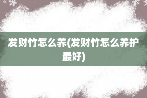 发财竹怎么养(发财竹怎么养护最好)