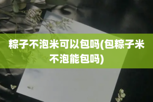 粽子不泡米可以包吗(包粽子米不泡能包吗)