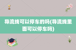 导流线可以停车的吗(导流线里面可以停车吗)