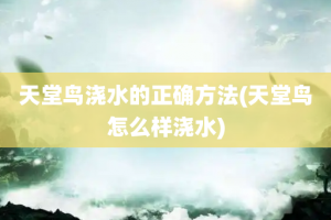 天堂鸟浇水的正确方法(天堂鸟怎么样浇水)