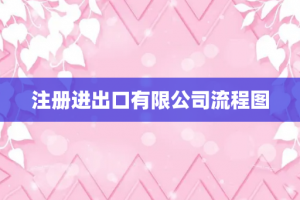 注册进出口有限公司流程图