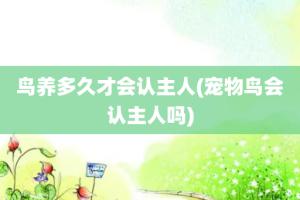 鸟养多久才会认主人(宠物鸟会认主人吗)