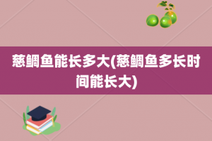 慈鲷鱼能长多大(慈鲷鱼多长时间能长大)