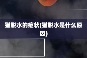 猫脱水的症状(猫脱水是什么原因)