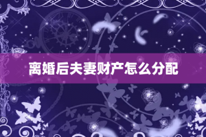 离婚后夫妻财产怎么分配