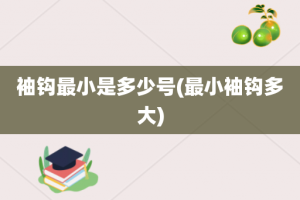 袖钩最小是多少号(最小袖钩多大)