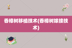 香樟树移植技术(香樟树嫁接技术)