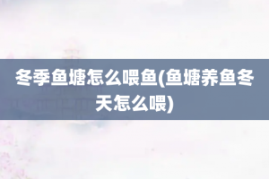 冬季鱼塘怎么喂鱼(鱼塘养鱼冬天怎么喂)